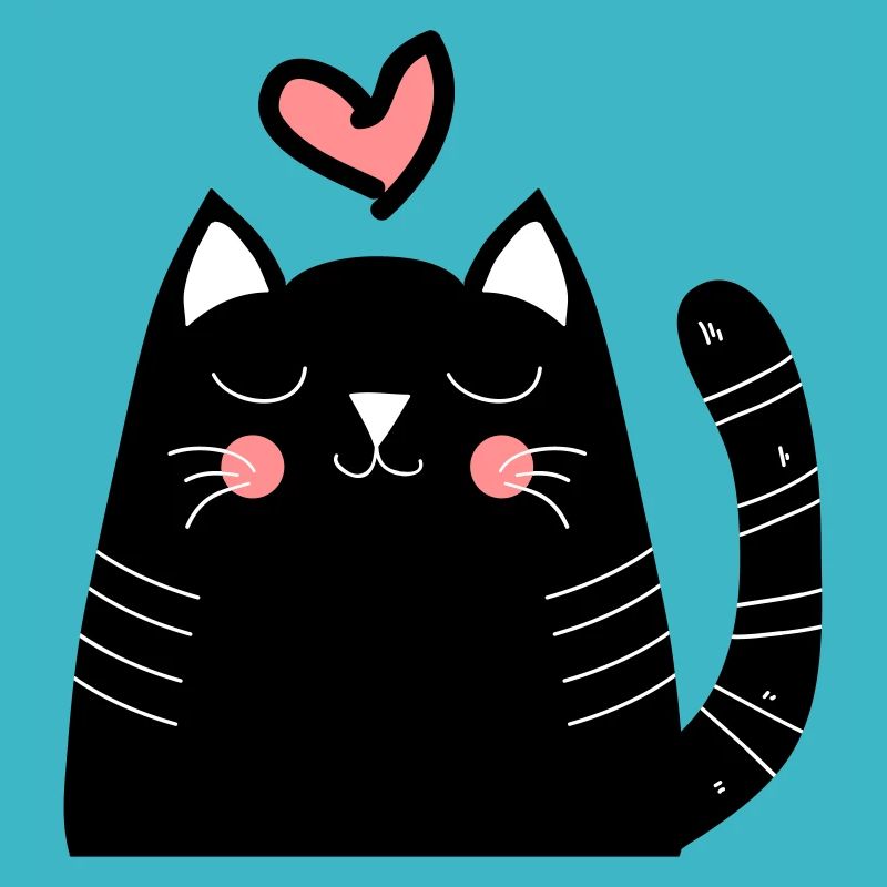 Chat chats chat amour chat comme un cadeau