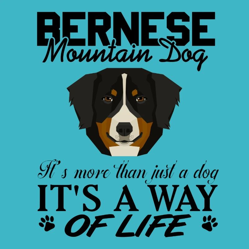 Bernesse cattle dog