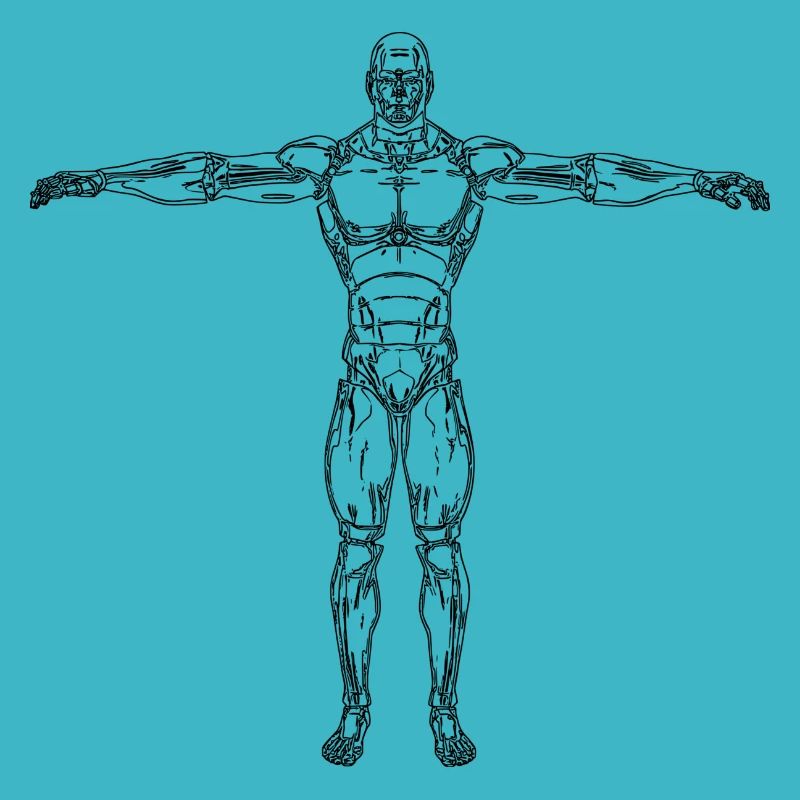 Anatomy