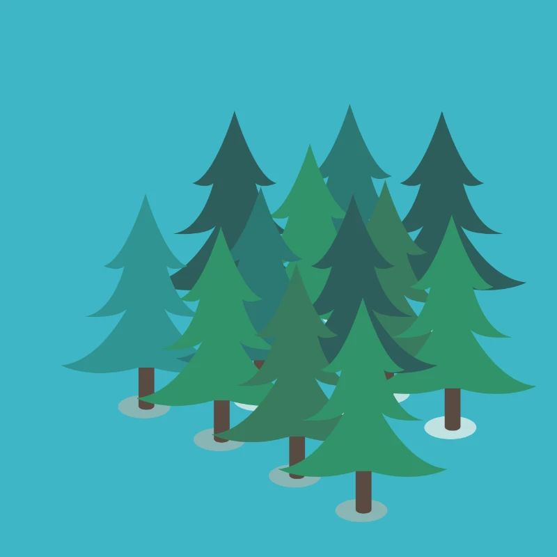 Forest trees fir trees firs