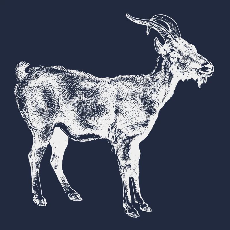 White Goat