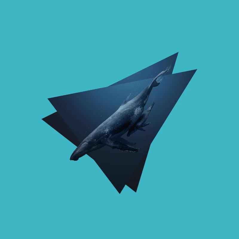 Blue whales