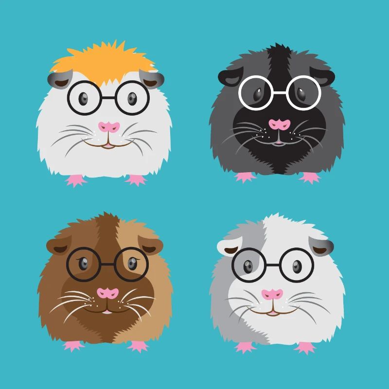 Quatre petits cochons d'Inde ringards avec des lunettes