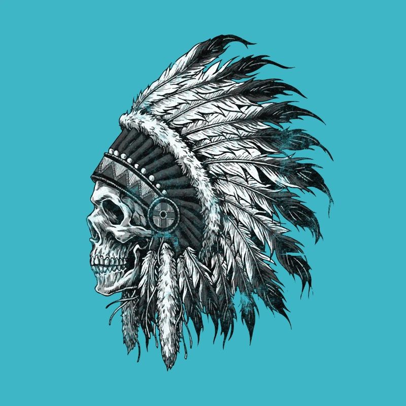 Native American Indian Skull