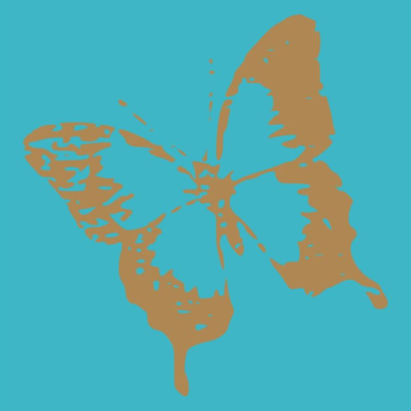 magnifique papillon