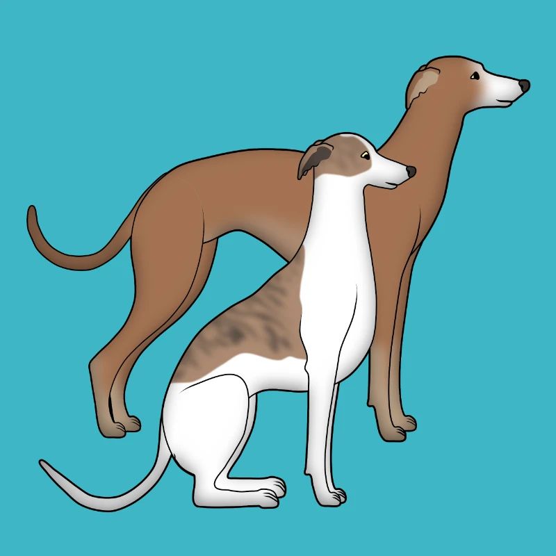 Two whippets