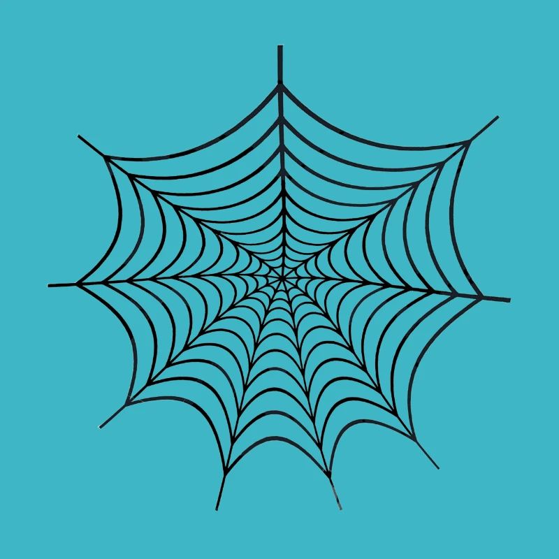 Spider Web Cadeau Spiderman Toile d’araignée