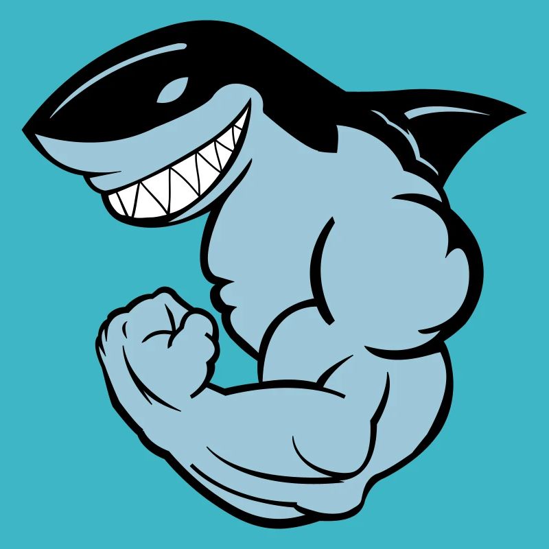 requin puissant 02