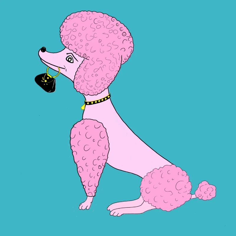 caniche