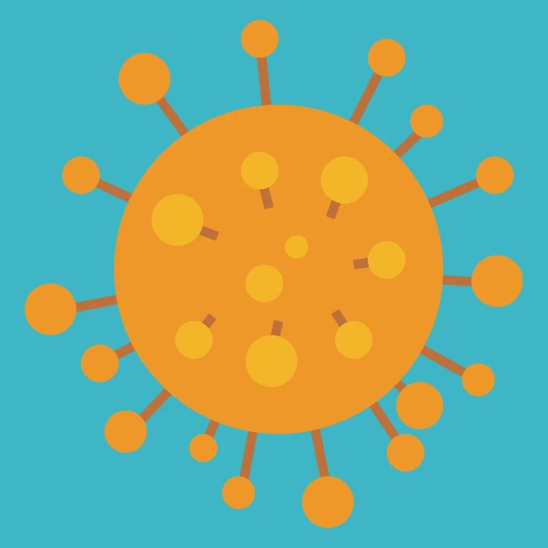 Corona virus
