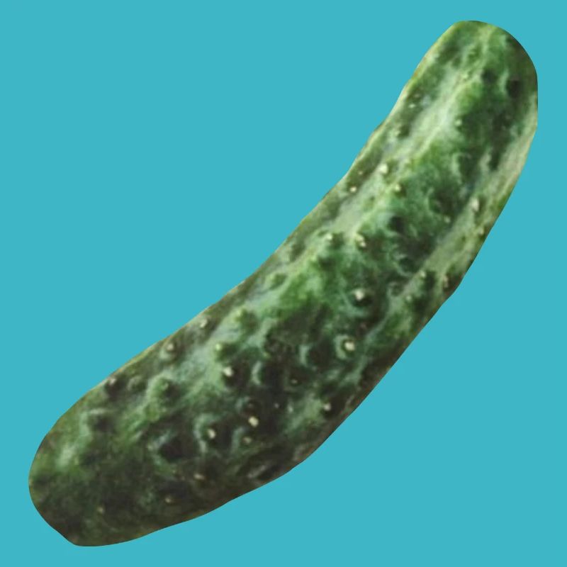 Essiggurke