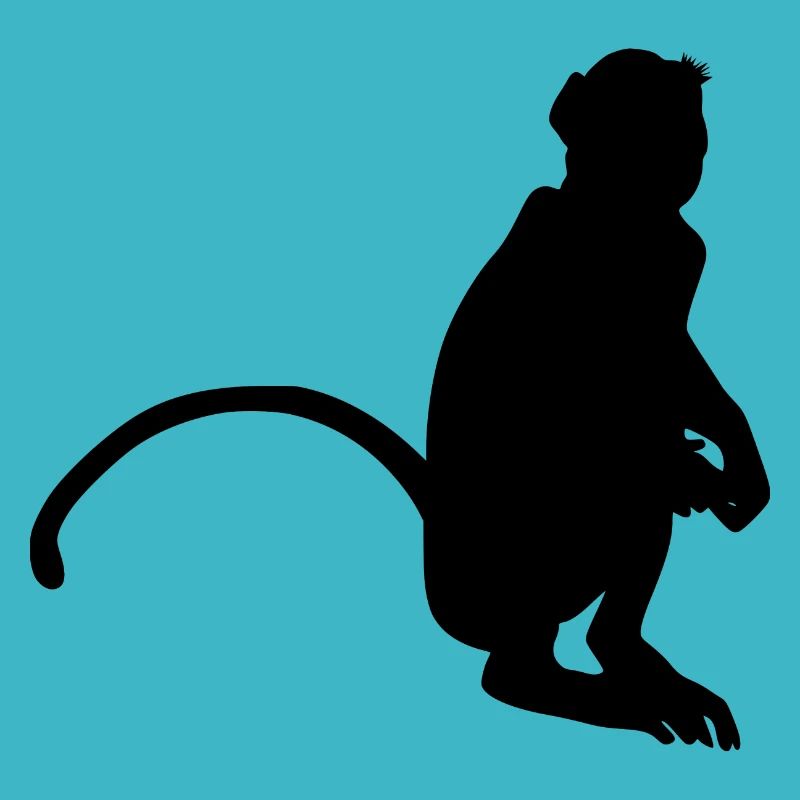 Neugieriger Affe