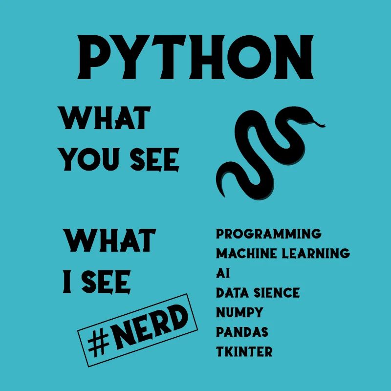 Python programming