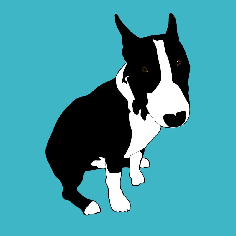 Mini Bull Terrier