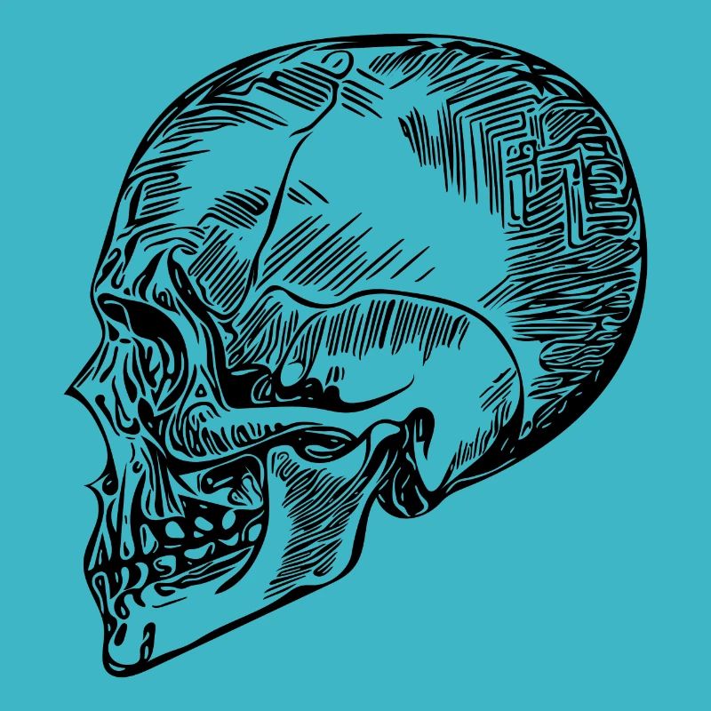 Schädel Knochen Halloween Totenkopf