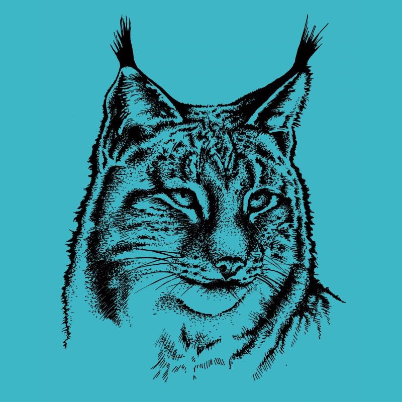 Luchs
