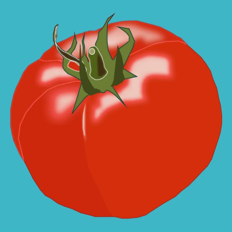 tomate tomates tomate légume vegetables5