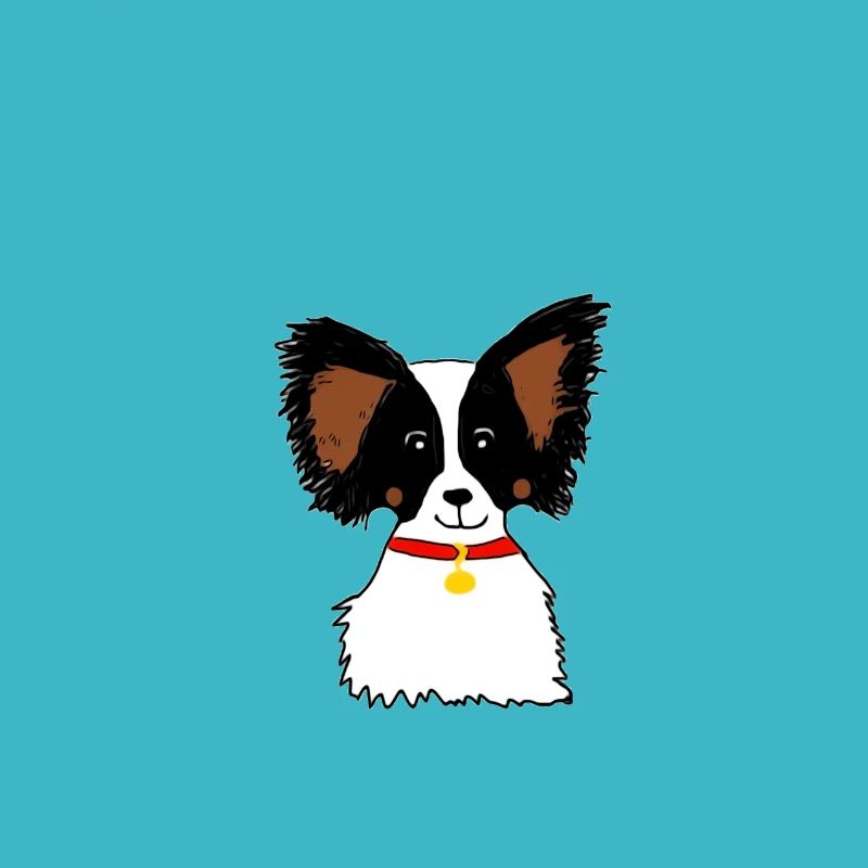 Papillon dog