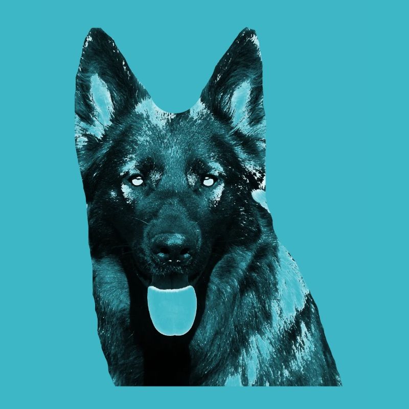 Schäferhund Schäferhunde German Shepherd Hunde