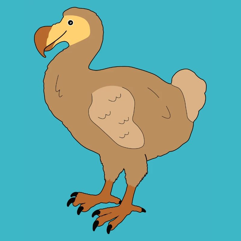 Dodo