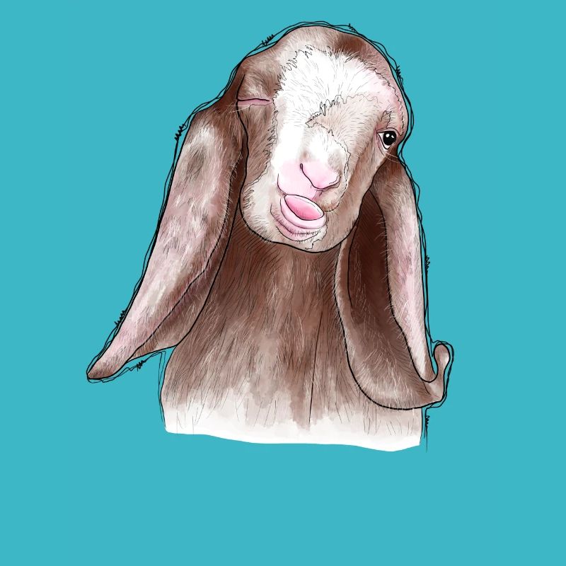 Chèvre drôle