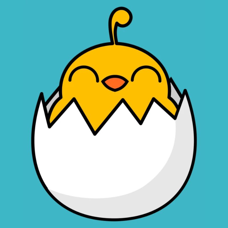 Chick Freshly hatched from the egg