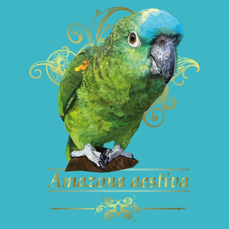 Amazone à front bleu