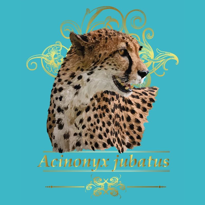 Gepard
