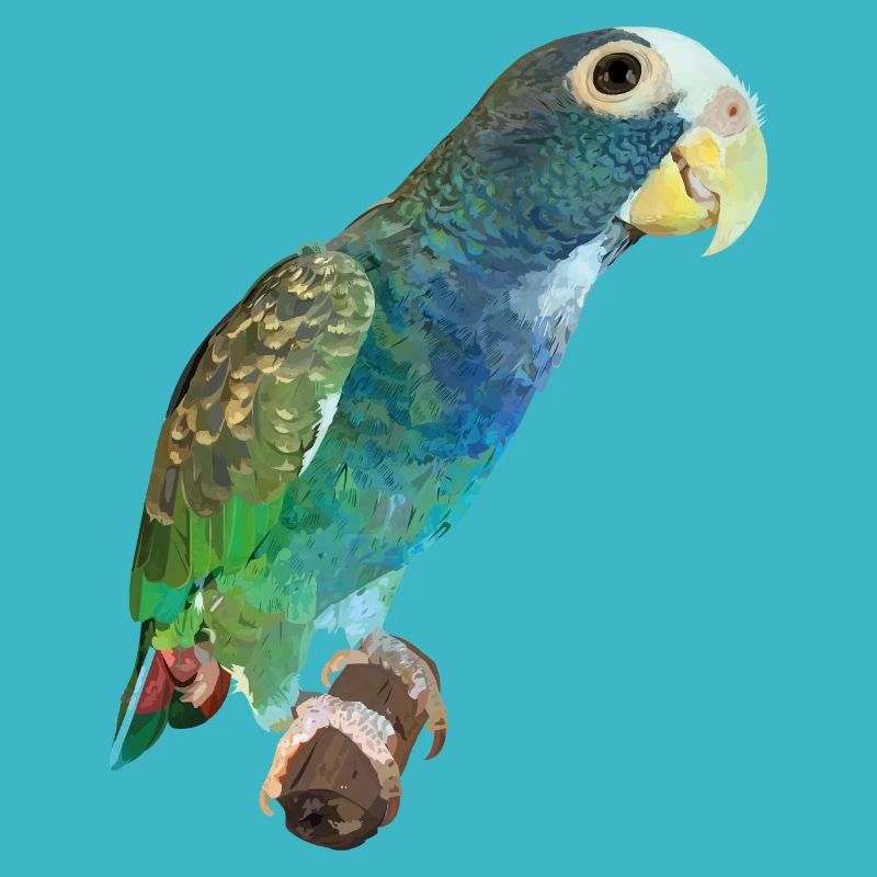 Papagei Senile