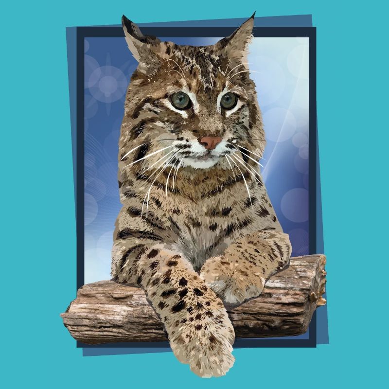 Lynx