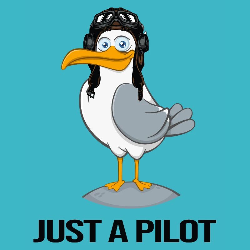 pilot flies airplane flight hour
