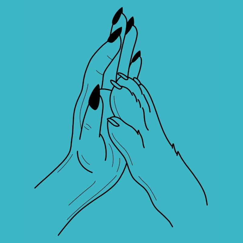 Hand Pfote Highfive