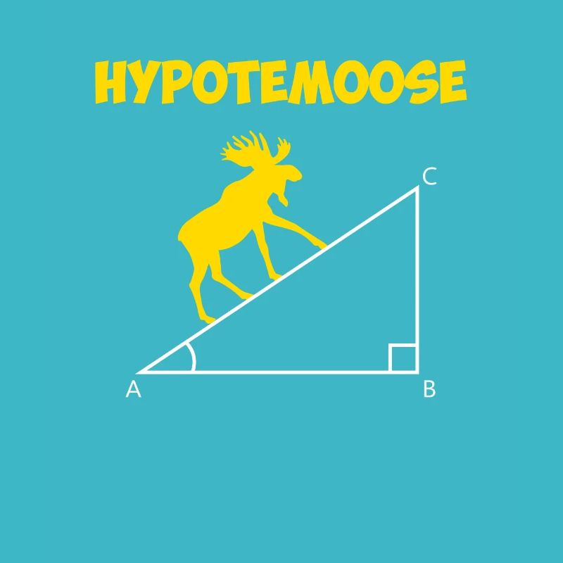 hypotemoose, math teacher hypotemoose