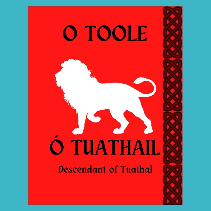 O Toole Surname