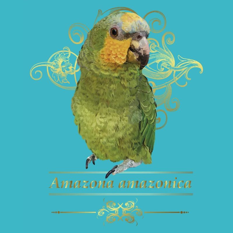 The Orange-winged Amazon