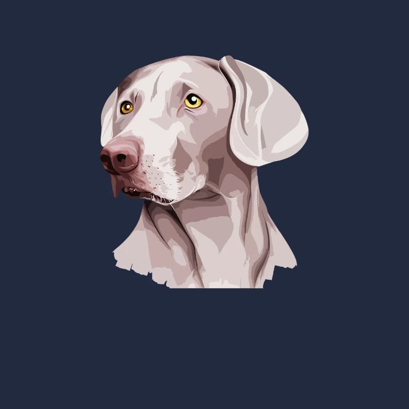 weimaraner dog