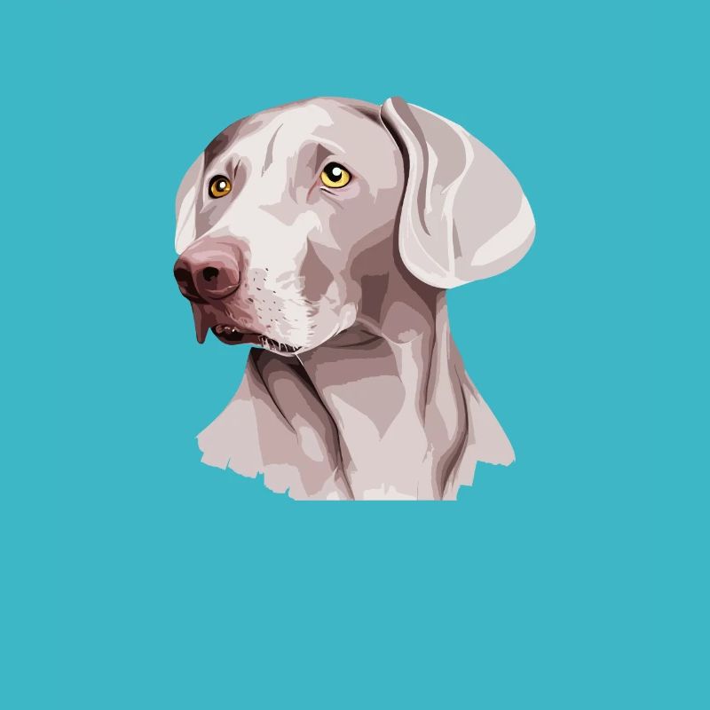 Weimaraner Chien