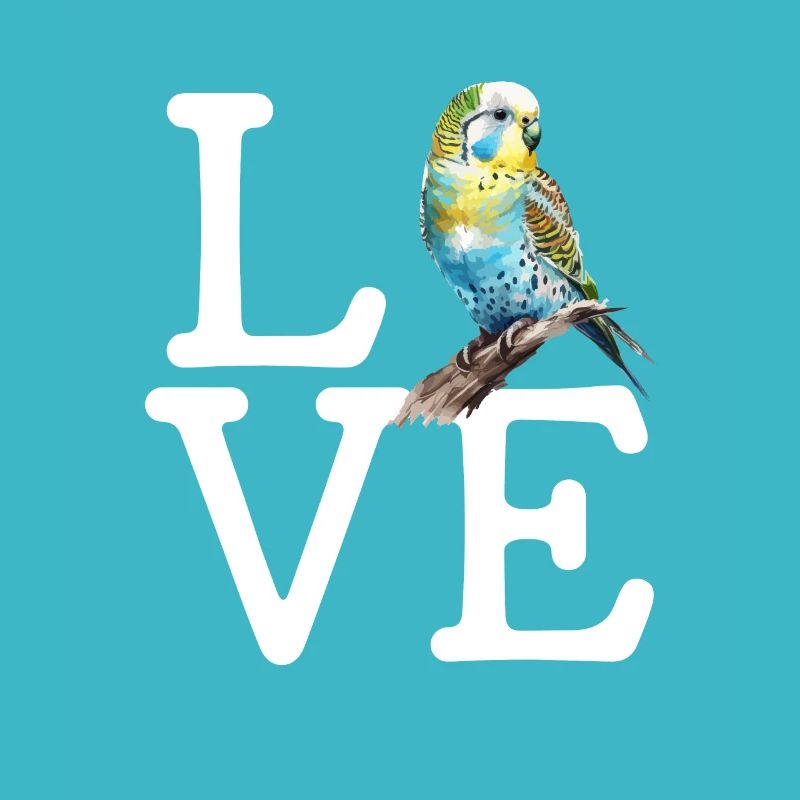 budgerigar parakeet, Budgie