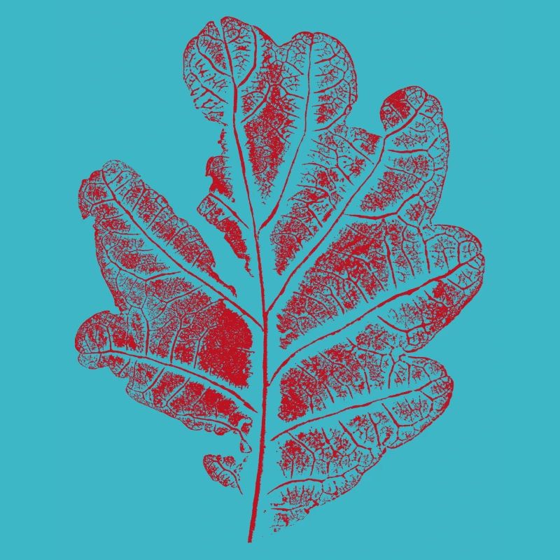 Leaf Oak - With Cracks / Oak Leaf Botanical