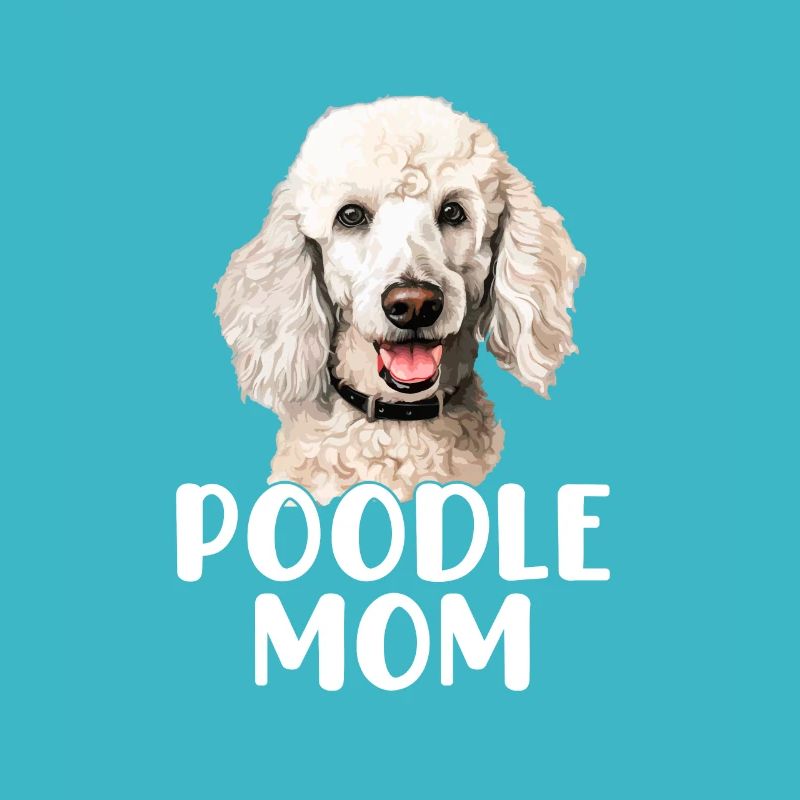 poodle dog
