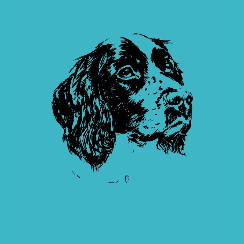 springer spaniel