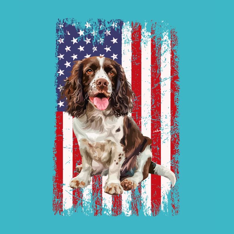 springer spaniel