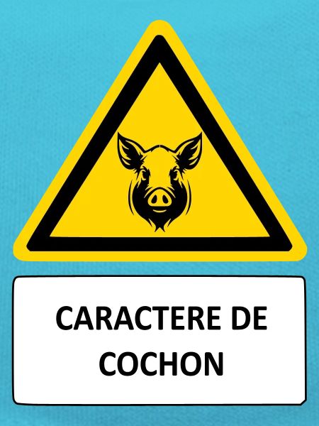 Pig character