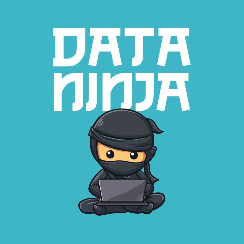 Data ninja data scientist