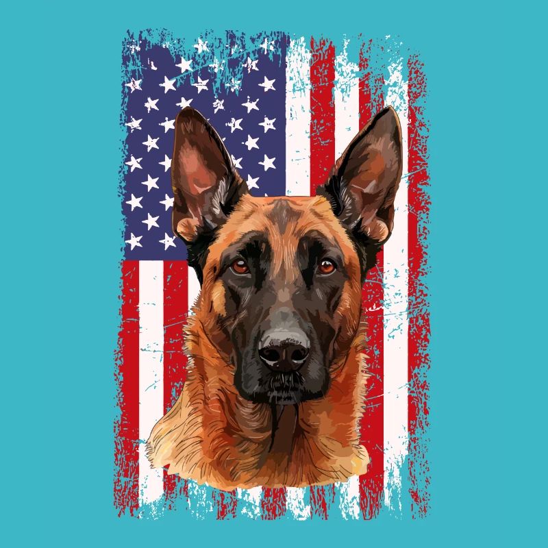 Belgian Malinois