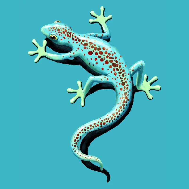 spotted gecko