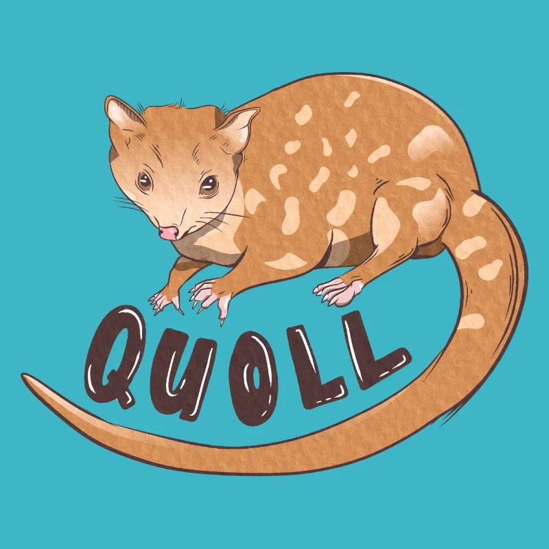 Quoll Australian Marsupial