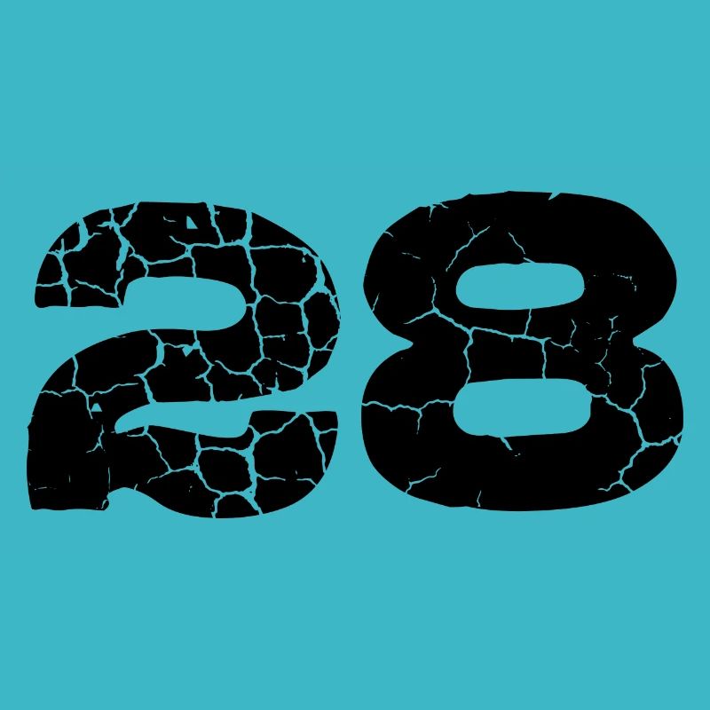 28 Number jersey