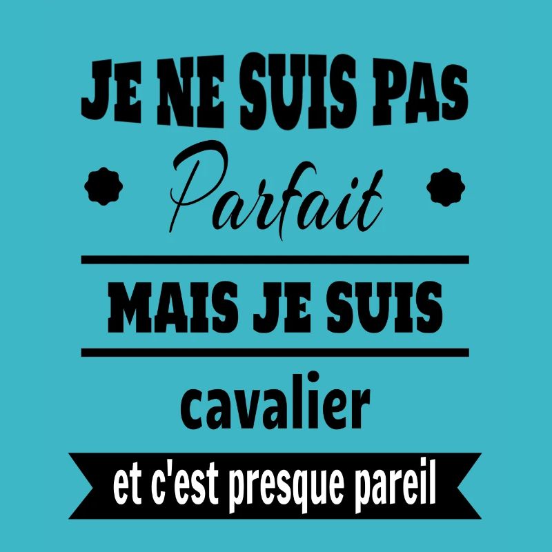 Cadeau pas parfait mais cavalier cheval