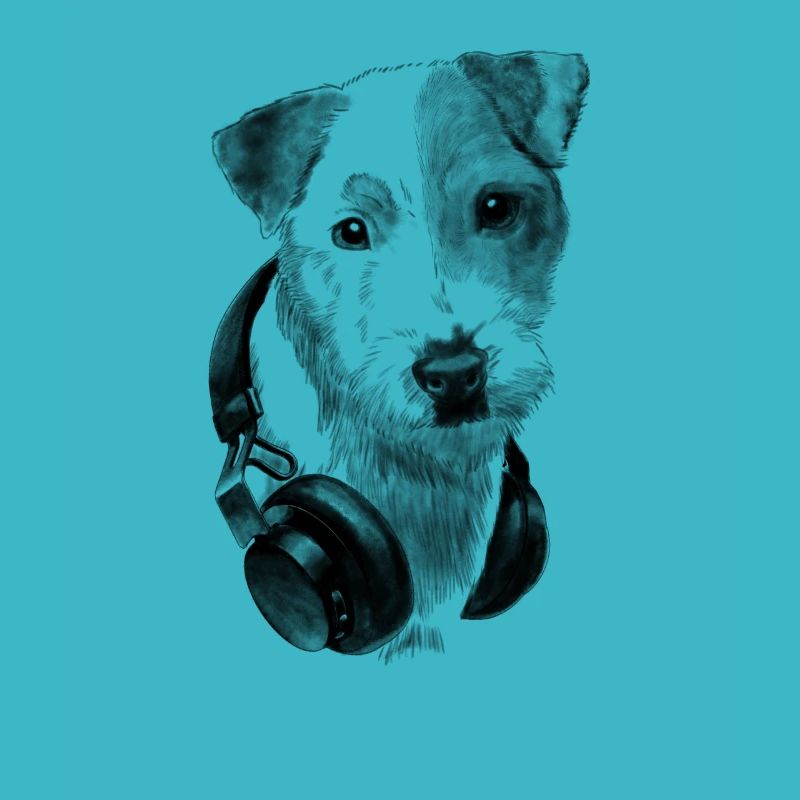 Parson Russell Terrier